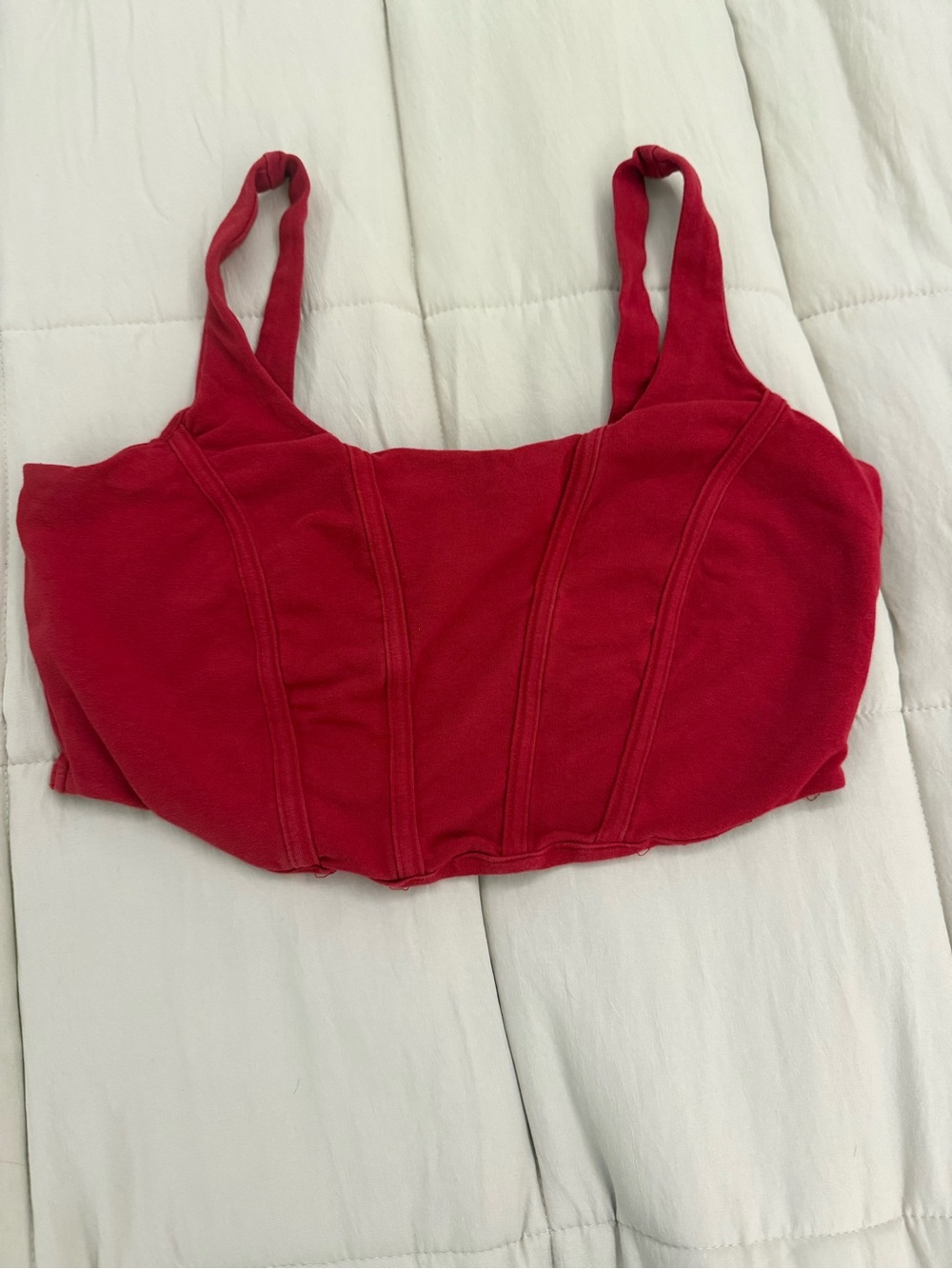 wild fable Red Cropped Bustier Tank